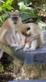 /album/fotogaleria-karibik-island-hopping-zajazd-vy-a-my/k-3-jpg/